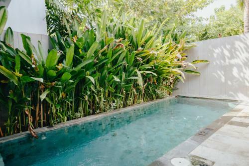 Nawa Villa 1204 - 2br Private Pool - Spring Leaf