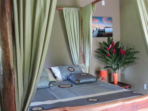 Bed & Breakfast Monkey Lodge Panama