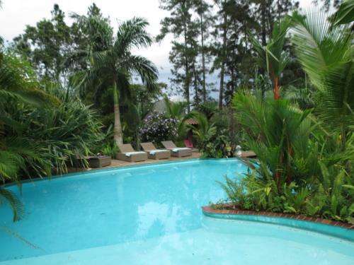 Bed & Breakfast Monkey Lodge Panama