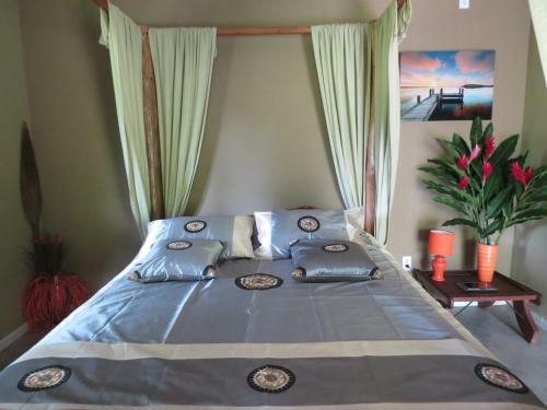 Bed & Breakfast Monkey Lodge Panama