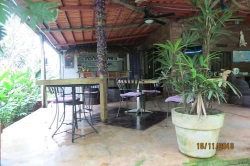 Bed & Breakfast Monkey Lodge Panama