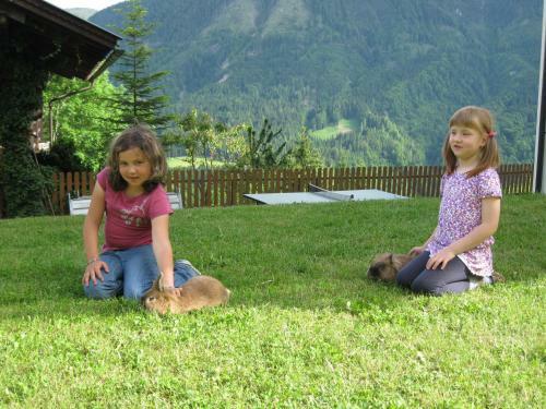 Hostal Alpenhof Strenge
