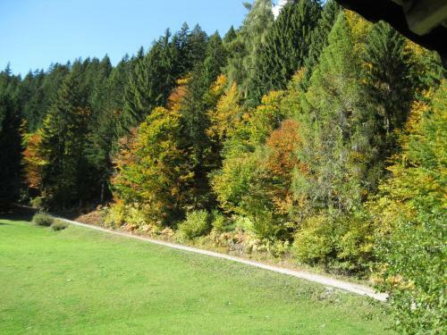 Hostal Alpenhof Strenge