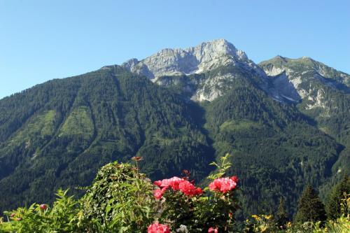 Hostal Alpenhof Strenge