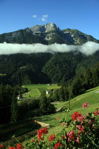 Hostal Alpenhof Strenge
