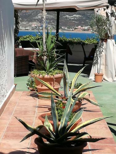 Hotel Sa Lumenera