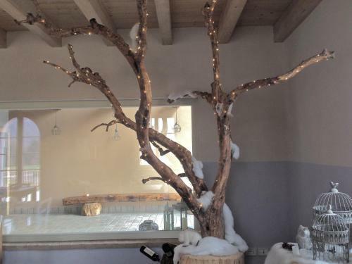 Bed & Breakfast Biancaleo