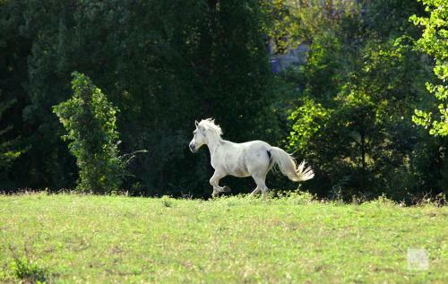 Agroturismo Locanda Dei Cinque Cerri