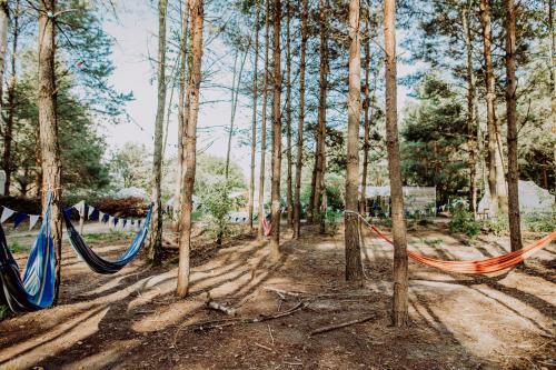 Hotel Raus Und Gut Glamping Am Gr�bendorfer See