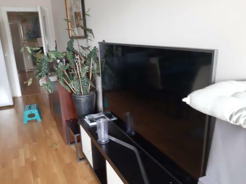Apartamento 2 Bed/2 Baths In D�sseldorf Center Next To Kytaro