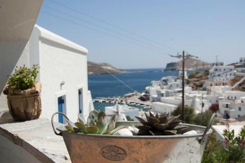 Panormos Villa Tinos Greece - Traditional House