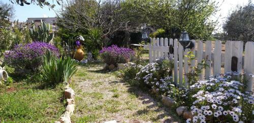 Casa Per Le Vacanze Short Rent Lamia Itria