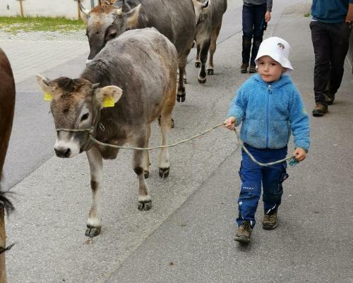 Apartamento Honzarhof