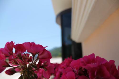 Hotel Hermitage