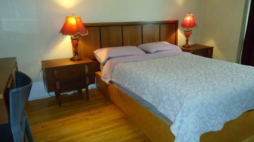Alexandrie Hostel