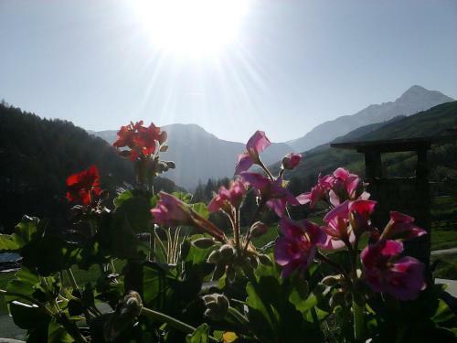 Hotel Cima Del Bosco