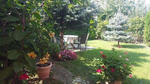 Apartman Bal�zs