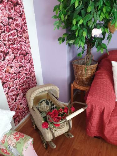 Apartamento Calici