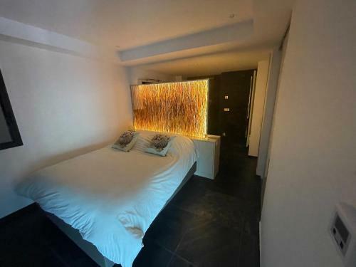 Villa Pieds Dans L?eau Avec Ponton Priv� Lac Du Bourget