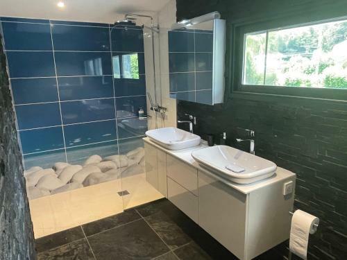 Villa Pieds Dans L?eau Avec Ponton Priv� Lac Du Bourget