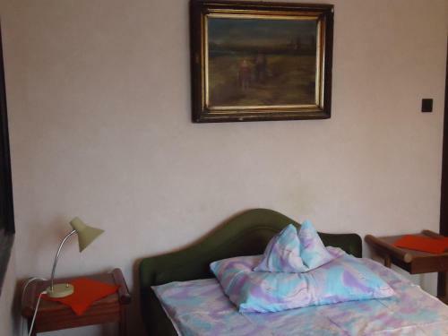 Hostal Cola Panzi�
