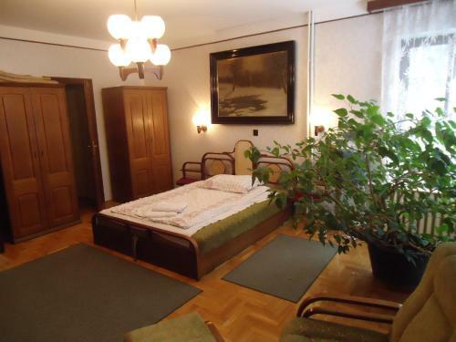 Hostal Cola Panzi�