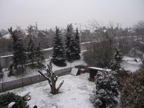 Hostal Cola Panzi�