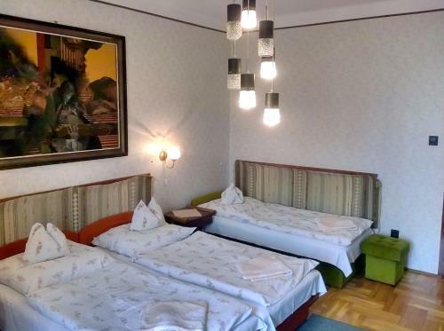 Hostal Cola Panzi�