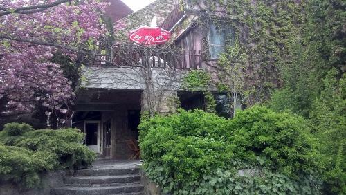 Hostal Cola Panzi�