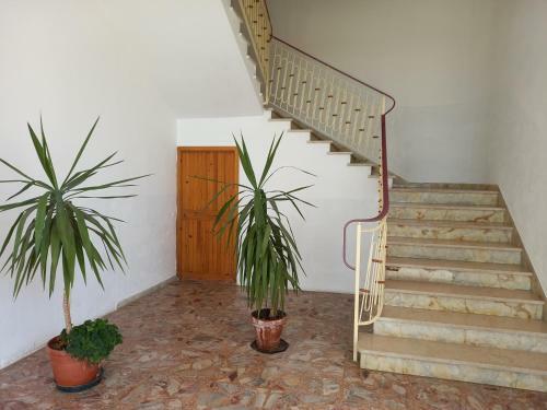 Apartamento Casa Morgana