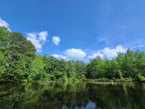 Peaceful Cabin On Private Pond, Close To Callaway.