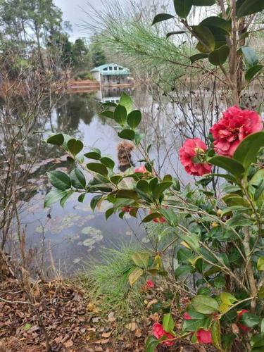 Peaceful Cabin On Private Pond, Close To Callaway.