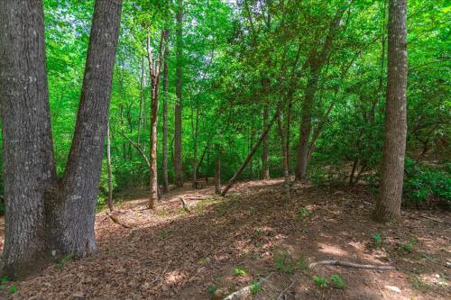 Elliotts Hideaway Adorable Cabin Fire Pit, Hot Tub, Deck, Pet Friendly, Wifi