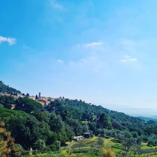 Casa Vacanze Le Rose