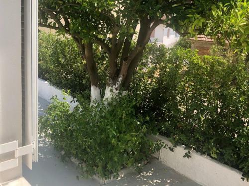 Agroturismo Modern Apartment 10mins From The Beach