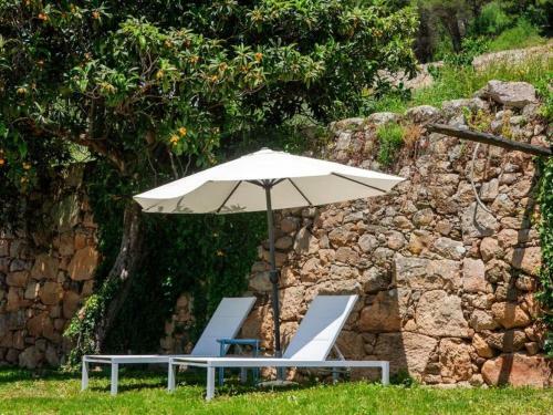 Nice Holiday Home In Carrazeda de Ansia With Private Terrace