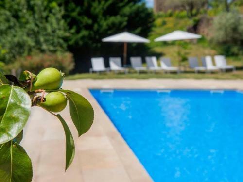 Nice Holiday Home In Carrazeda de Ansia With Private Terrace