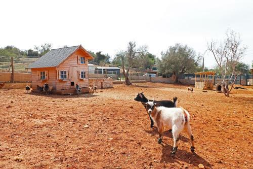 Cozy Luxury Big Pool Villa & Childrens Zoo