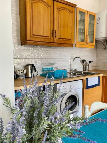 Apartamento Ph In Monteverde