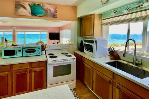 Sea Turtle Cottage