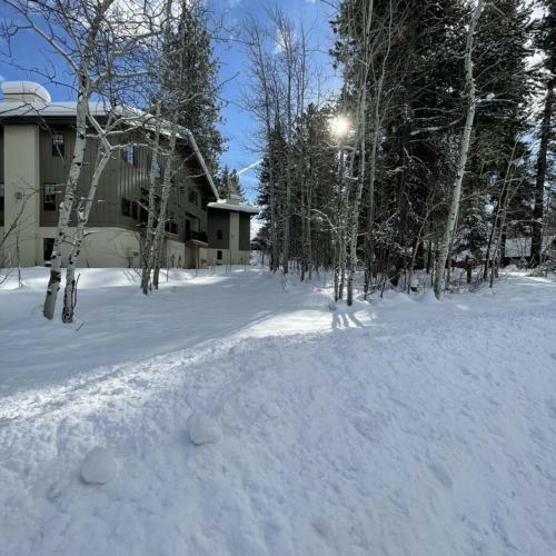 Apartamento Stars Over Silverpine By Casago Mccall - Donerightmanagement