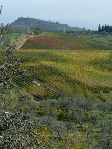 Agroturismo Agriturismo Sottotono