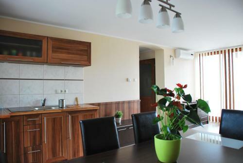 Albatrosz Apartman