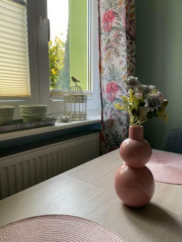 Hostal Domek Zielony