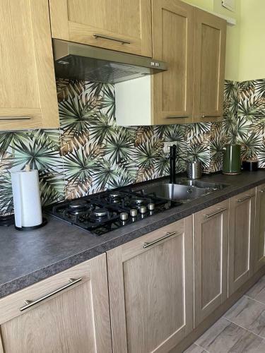 Hostal Domek Zielony