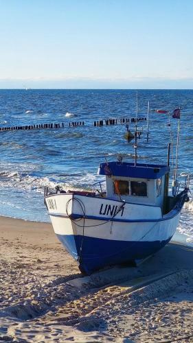 Hostal Domek Zielony