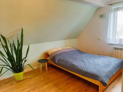 Apartamento Ca?oroczny Dom W Sercu Mazur
