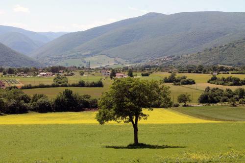 Agroturismo Agriturismo Il Casale Degli Amici