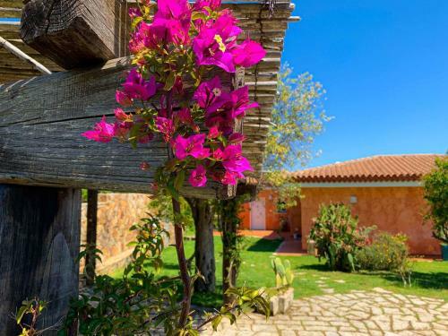 Villa Minerva Palau