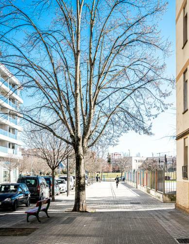 Apartamento Amandere